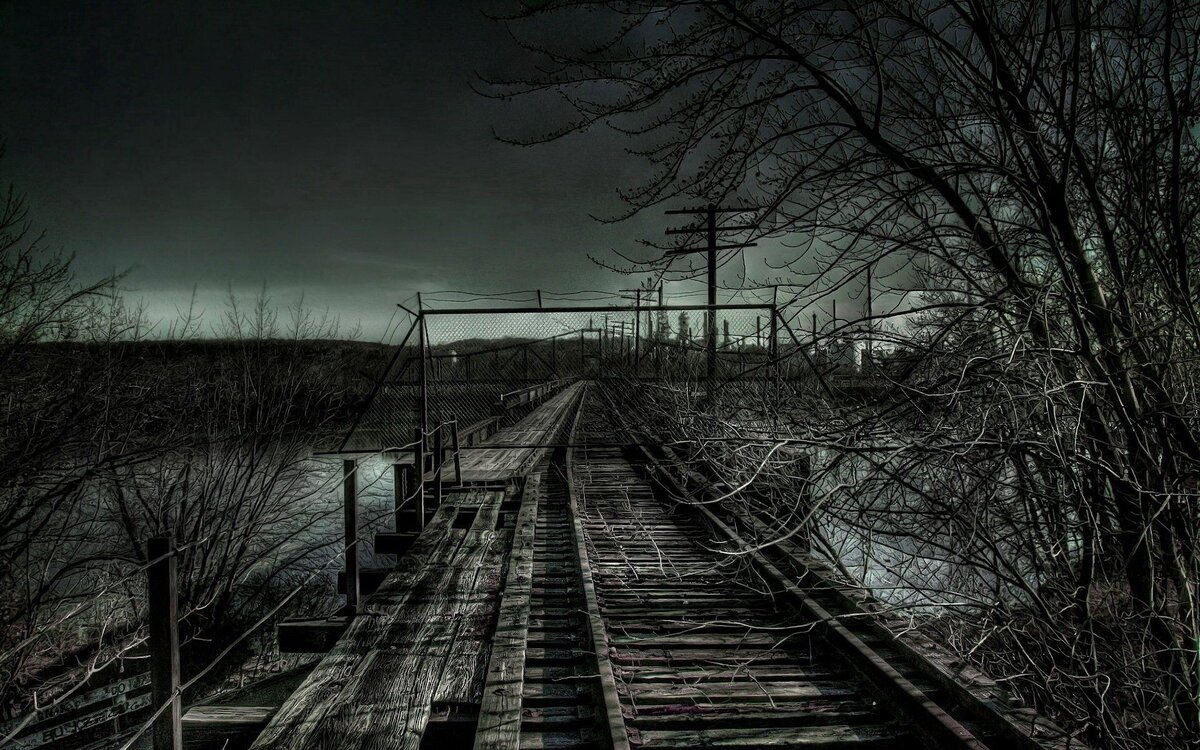 Изображение взято из открытых источников интернета. 