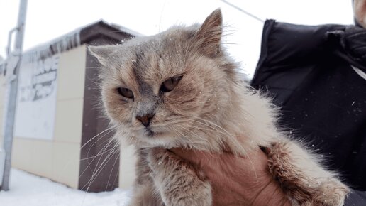 смешные рассказы их жизни. рассказ реальные истории на дзене. смешные истории. интересный рассказ из жизни взрослых. истории из жизни смешн.