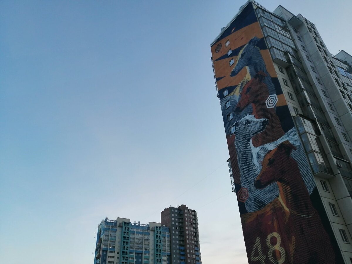 А домов все больше и больше... Фото: Царьград.