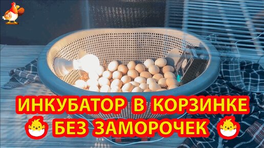 ИНКУБАТОР NEST-100 PRO