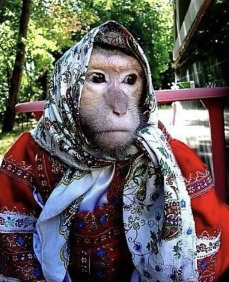 Обезьяна в душе