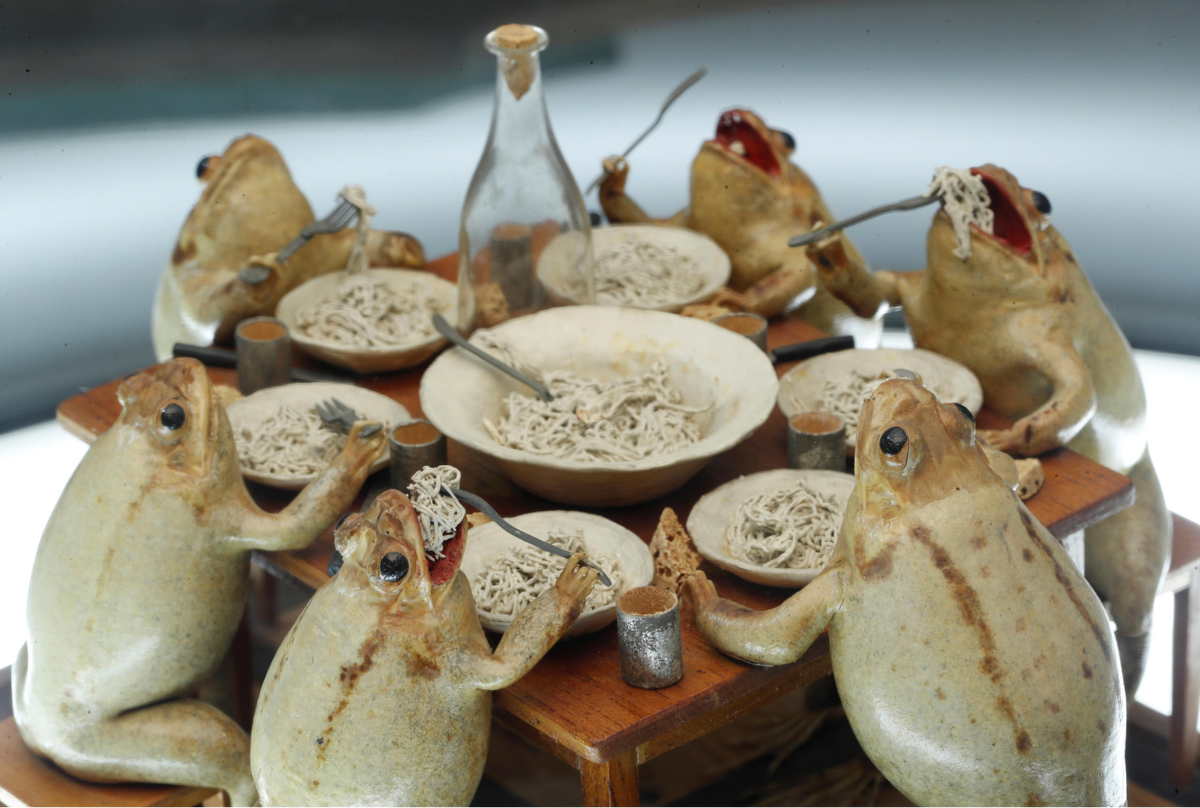 Сценка лягушка. Музей лягушек Швейцария. Лягушки за столом. Чучело лягушки. Жабы за столом.