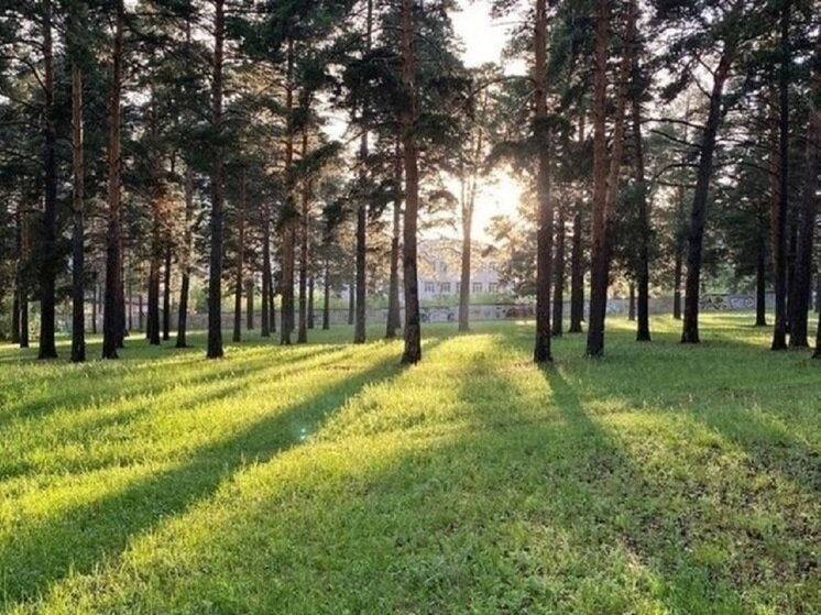 Туберкулезный диспансер махачкала. Туберкулезный диспансер махачкала
