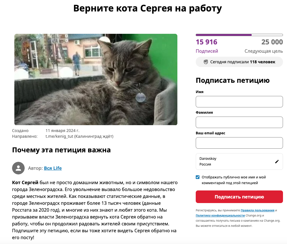 КотЭ NEWS