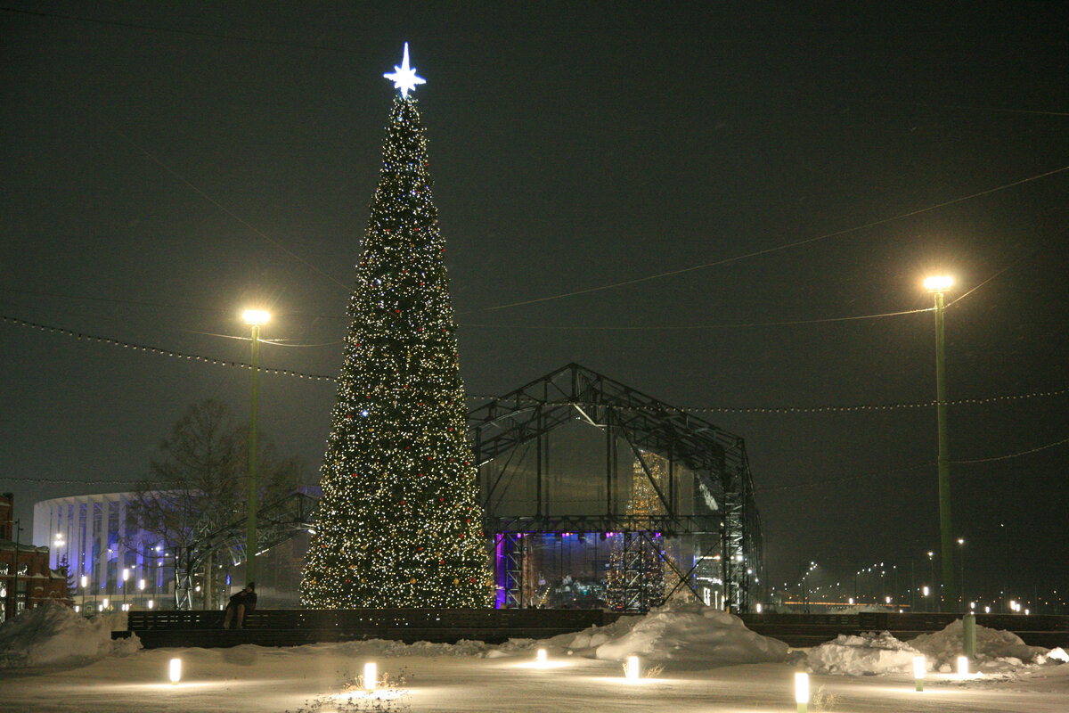 новогодние песенки. новогодняя елка с подарками. завтра новый год под елкой пусто. песня завтра новый год под елкой пусто. новогодние коты на рабочий стол.