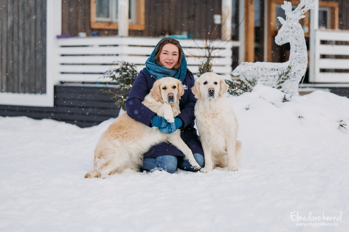 Своеобразные выражения. Выражения с переменными. Проект на тему крылатые выражения. Своеобразные выражения. Значение выражения бить баклуши.