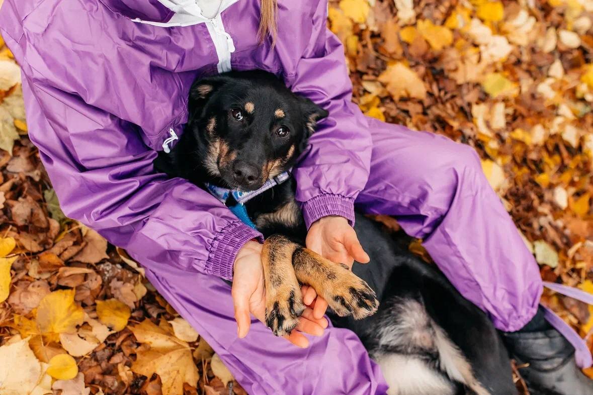 Герда в поисках дома 🪄🏡❤️ | Приют «Дубовая Роща» 🐾 | Дзен