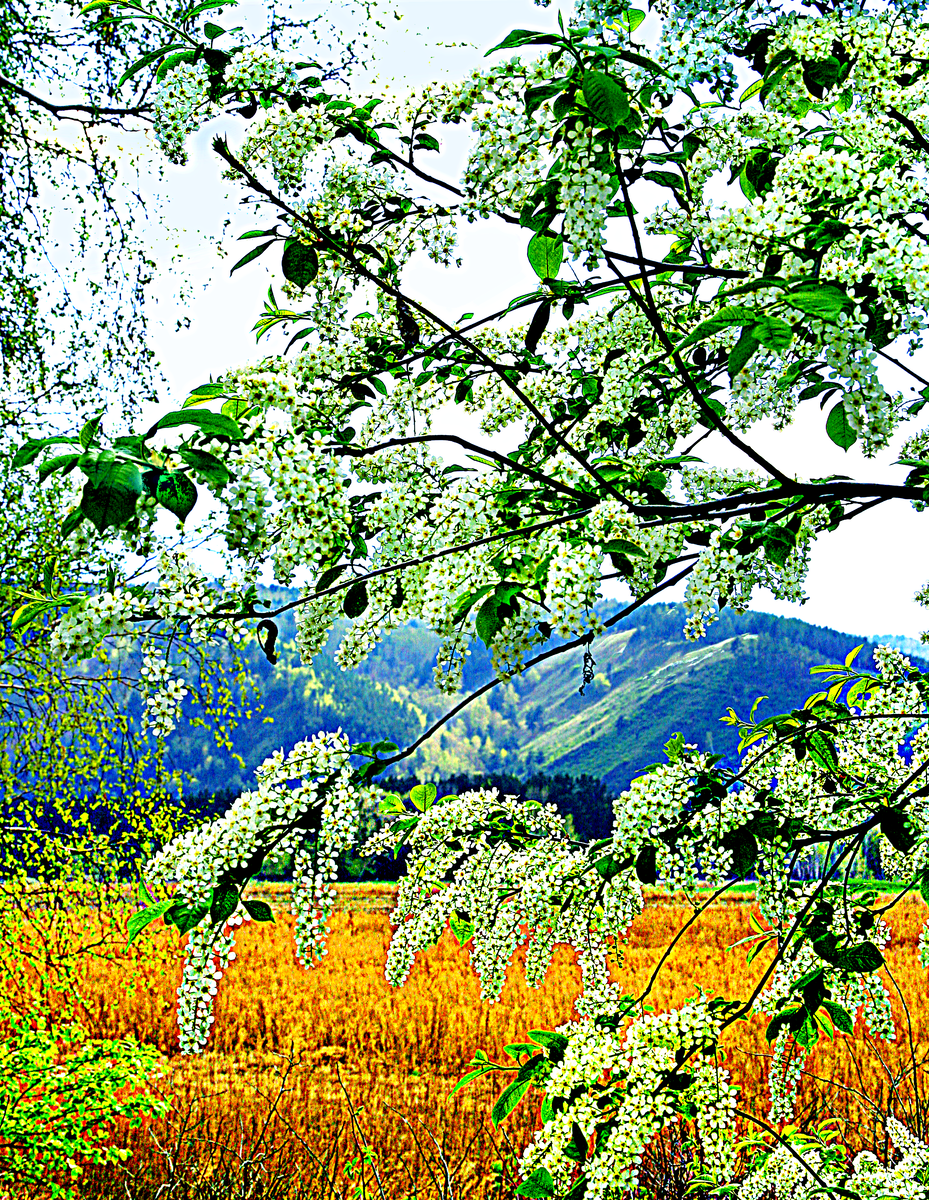 Фотография, стихотворение Василия Глуцкого