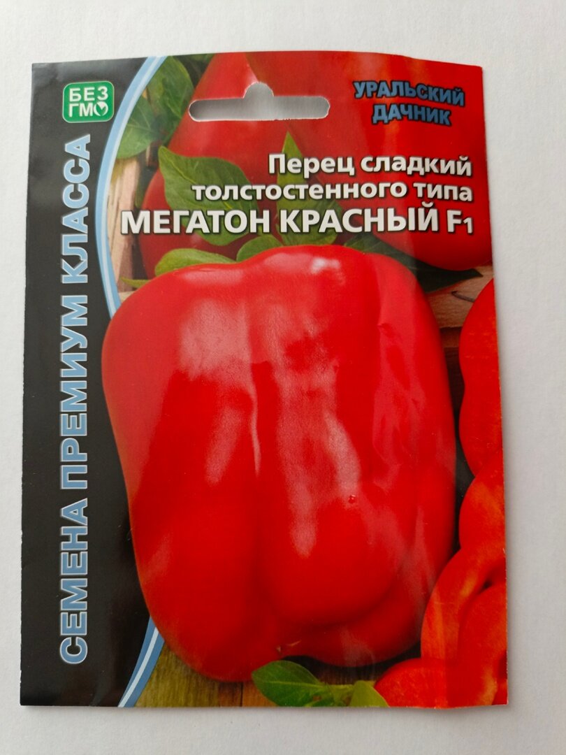 Всходы семян баклажан. Когда сажать рассаду. Росток баклажана в теплице. Баклажаны высадка рассады в открытый грунт сроки. Сроки посадки томатов на рассаду таблица.