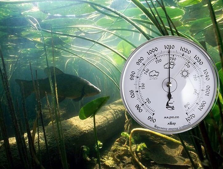 Источник: https://vk.com/wall-62833372_29442