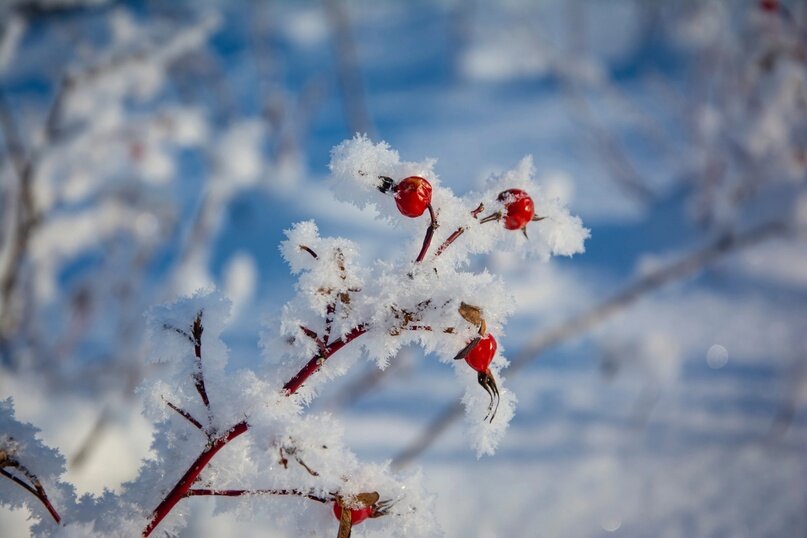 врач запретил поднимать тяжести