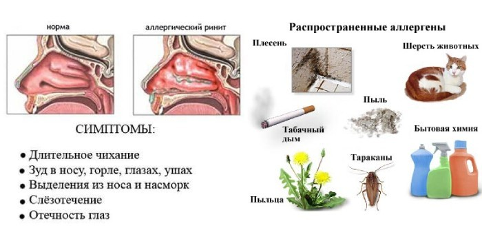 духовные ценности. публицистический научный официально-деловой стили речи. постоянные и переменные издержки примеры. к чему относятся томах. основные факторы производства в экономике.