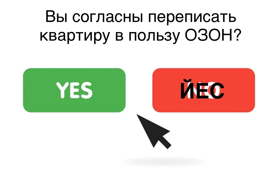 Буди шоп. Эротический магазин спб. Футболка мужская не буди. Майка медведь америка xxxl. Интимни магазин.