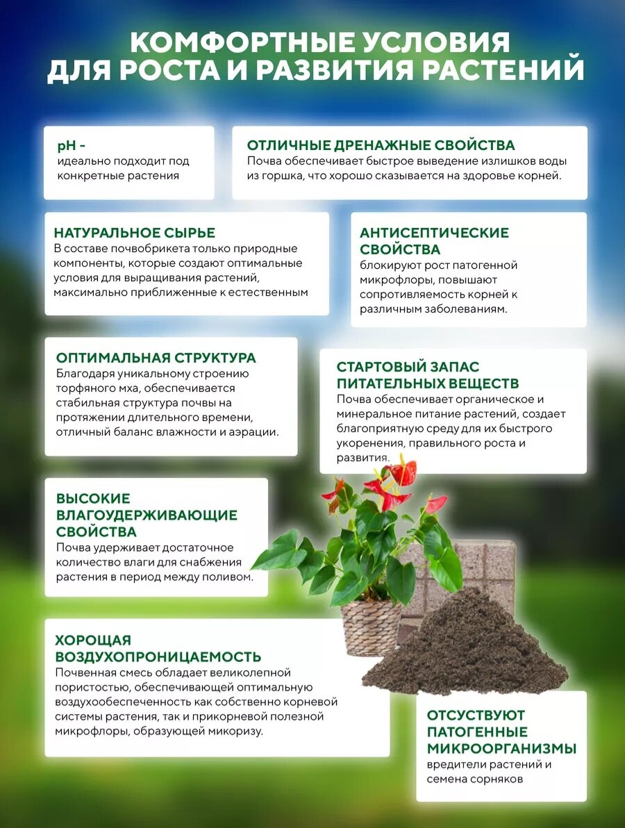 Овощи и зелень. Вегетарианские продукты. Растительная основа. Овощи и фрукты в рационе. Вегетарианская диета.