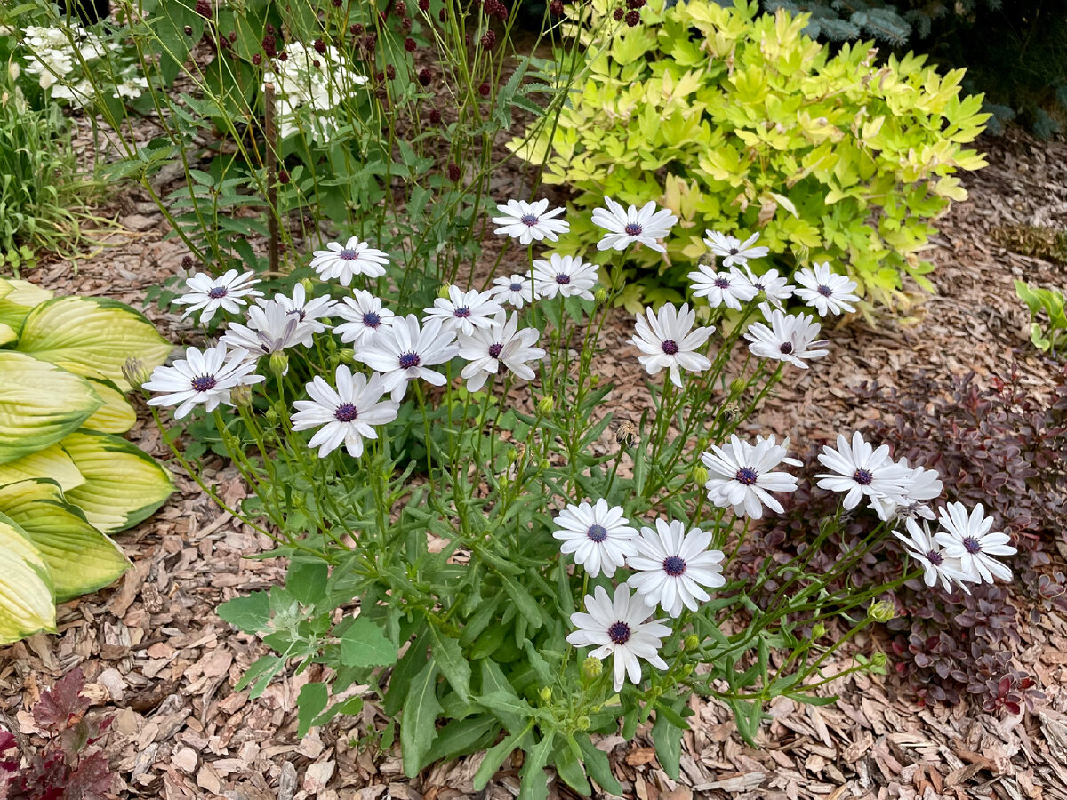 на пути к успеху ответы. планирование путь к успеху. успехов по жизни. мой путь к успеху проект. путь к успеху список.