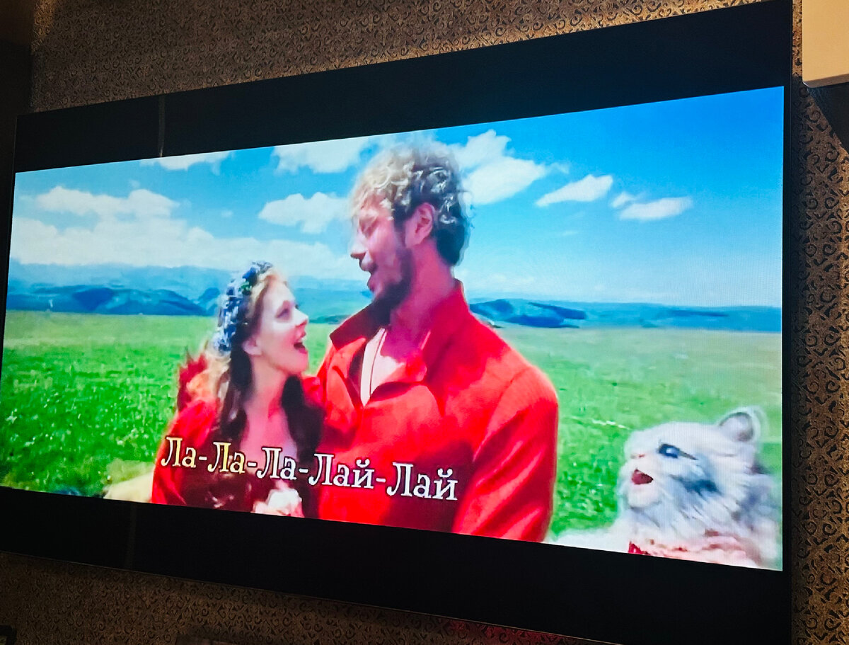 Бременские музыканты 1969 герои. Бременские музыканты 1969. Бременские музыканты трубадур и принцесса. Бременские музыканты союзмультфильм 1969. До какого числа будут идти бременские музыканты.