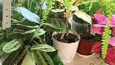 адам сэндлер притворись моей женой. притворись моей женой - just go with it (2011). познакомьтесь с моей женой фанаткой. бруклин деккер в фильме притворись моей женой. дженнифер энистон в фильме притворись моей женой.