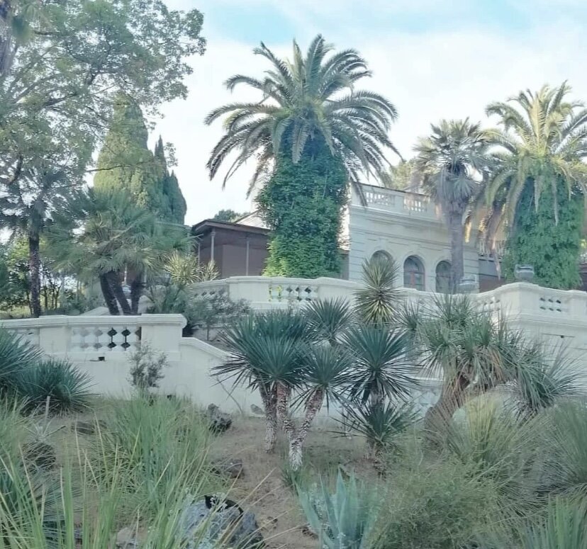 Экскурсии по горам сочи. Красная поляна роза хутор лето. Красная поляна сочи туризм. Сочи 7 человек. Сочи 7 человек.