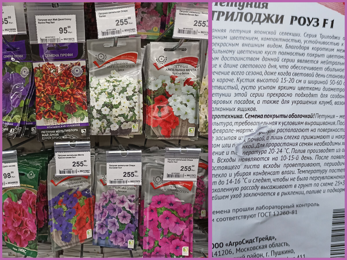 Разорванный пакет с украденными семенами