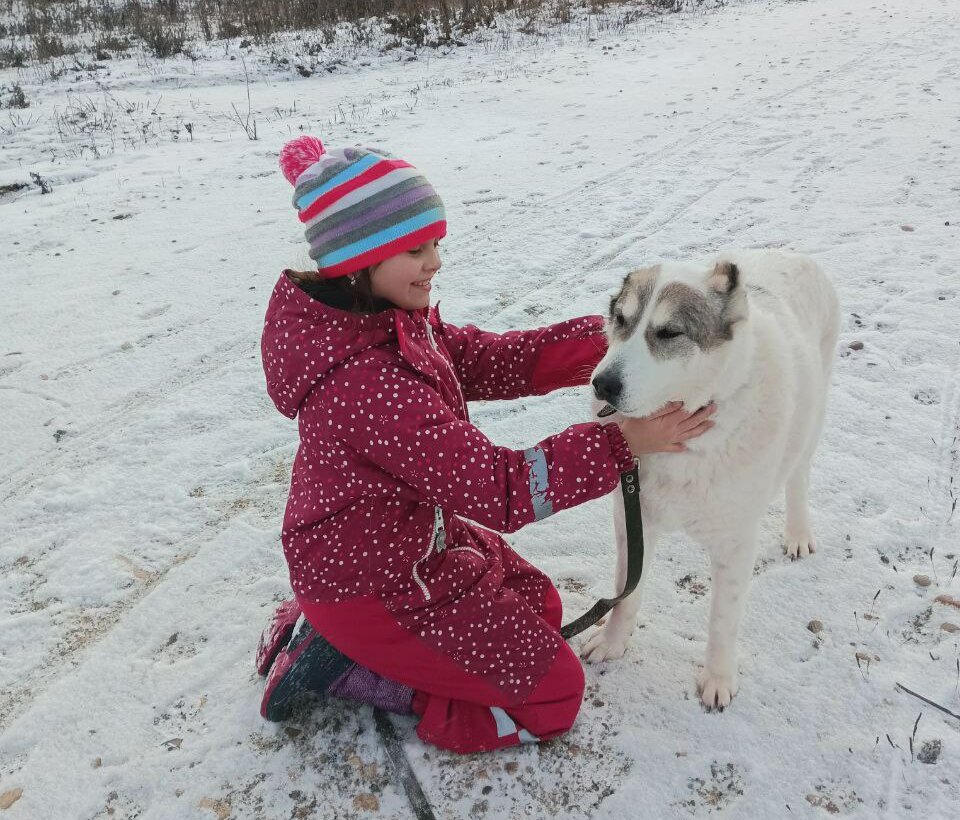 Альфа - одна из любимец маленькой Лины .