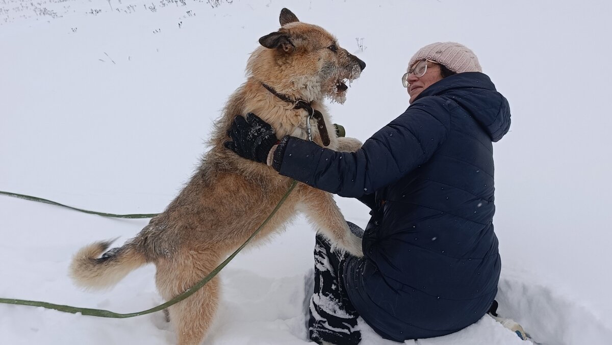 Как отвечать на вопрос как ваши дела. Как отвечать на вопрос как ваши дела. Что ответить на вопрос как дела. Как дела как дела. Картинки с прикольными фразами.