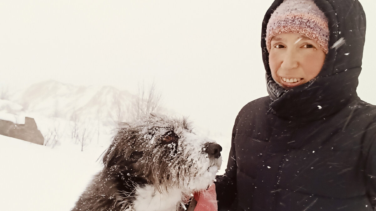 Семе и семе. Сема групп. Баннер детского центра. Сёма лучший. Сема групп.