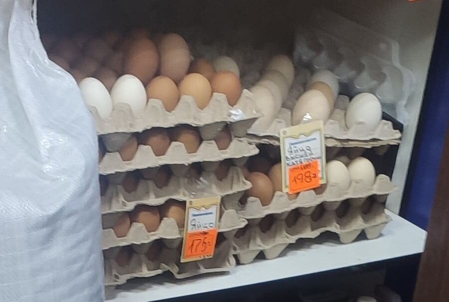 Купить яйца в брянске