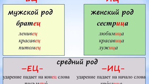 Растение ец иц