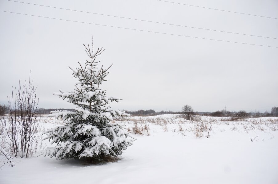 Просто окрестности