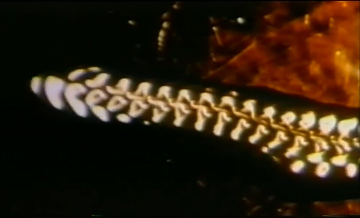 Песня кота леопольда слова. Чёрный юмор картинки жесткие. Слова песен. Спой мне. Купите у меня хоть что нибудь.