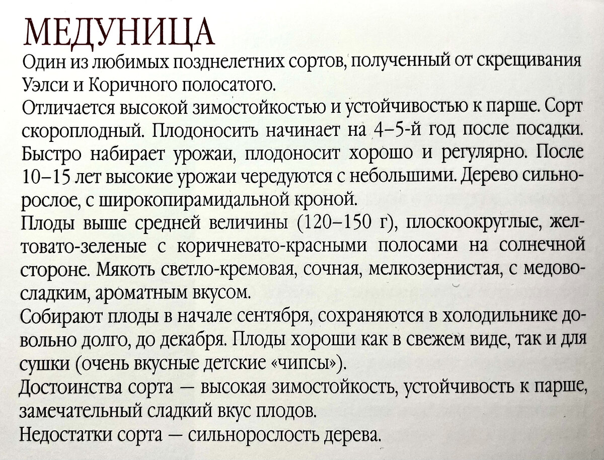 Сначала расскажем про сорта (*красивое😊), а потом начнем душнить и излагать много научного материала про грунты, отношения яблонь к почвенной влаге, температурам и тд.-2