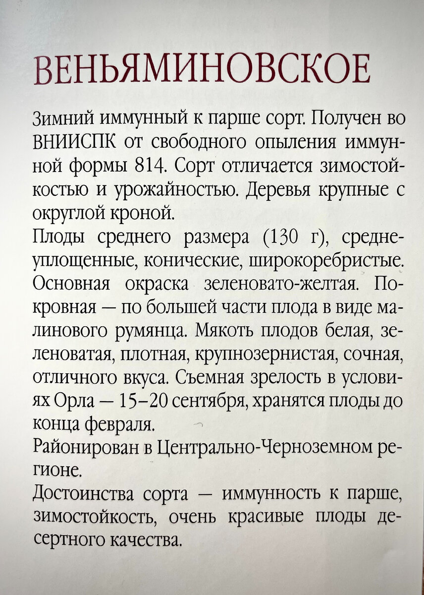 Сначала расскажем про сорта (*красивое😊), а потом начнем душнить и излагать много научного материала про грунты, отношения яблонь к почвенной влаге, температурам и тд.-4