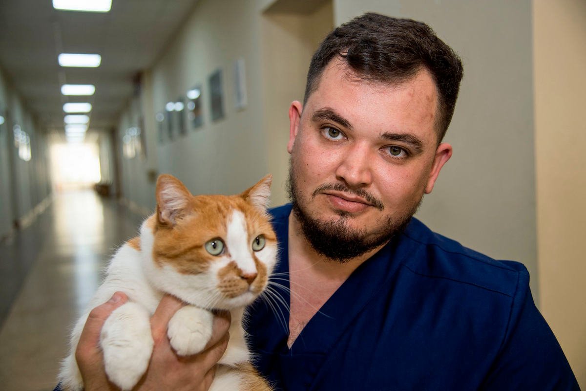 Доктор Решат на страже здоровья пушистых.