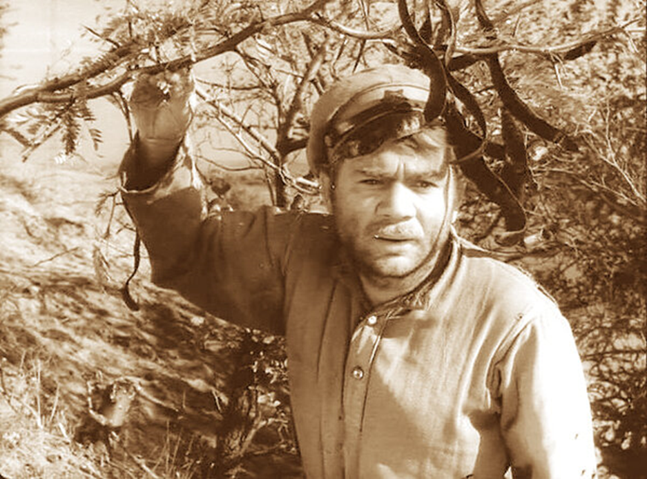 "Донская повесть", 1964 год