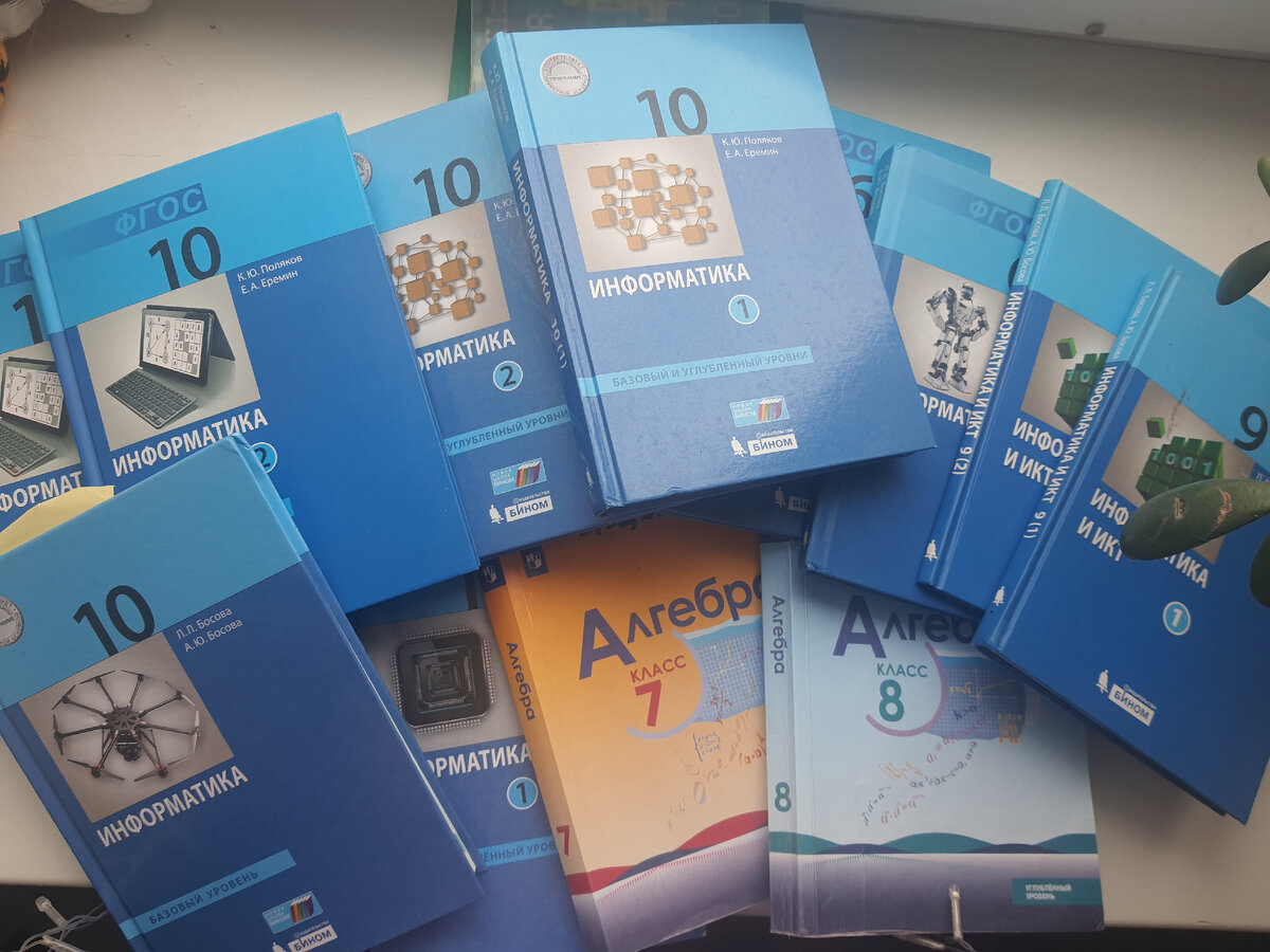 Часть учебников, которые хранятся дома. Есть еще и на работе.