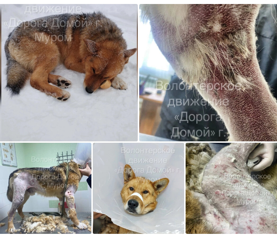 обнимает солдата. фотосессия встреча из армии. девушка провожает в армию. дождаться помощь. ждун дождался.