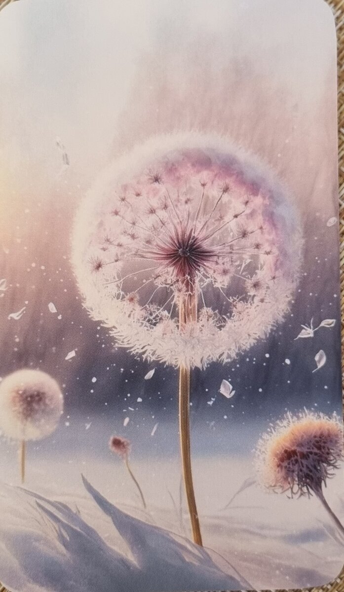 Телеканал terra. Канал сапфир на следующую неделю. Кинеко. Канал сапфир на следующую неделю. Телеканал сапфир.