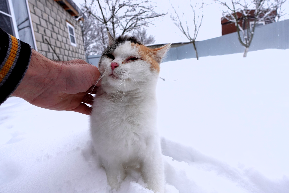 равнодушие. добрые поступки людей. беспощадный поступок. добрые поступки. беспощадный поступок.