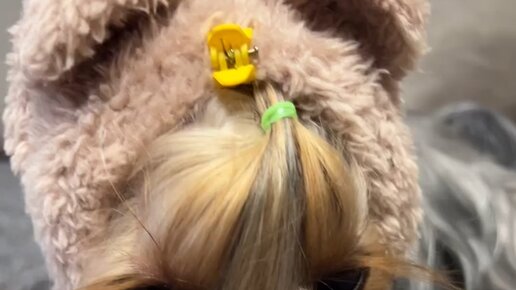 Бесят пунькать мне в носик. Бесят пунькать мне в носик. Boop по носу. Ну что ты котеночек носик повесил. Бесят пунькать мне в носик.