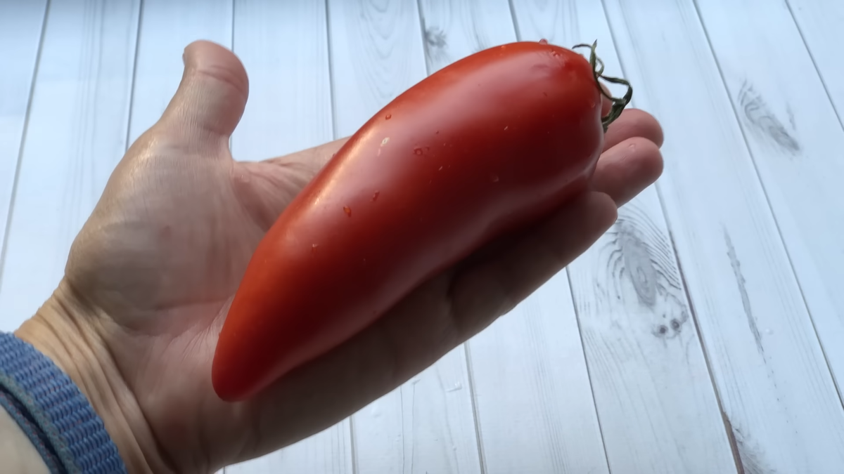 Паста Гилберти