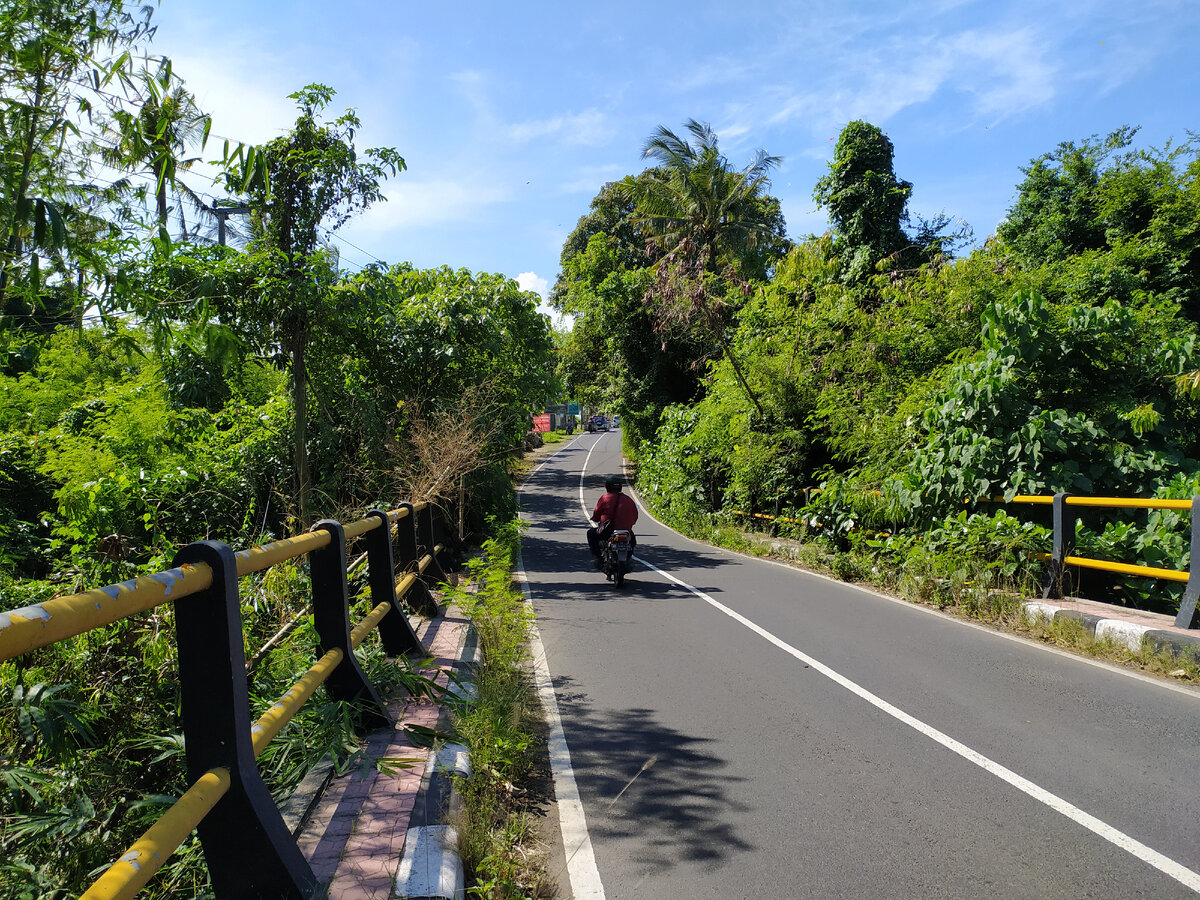 Дорога в Убуд. Остров Бали, Индонезия, 2020 год.