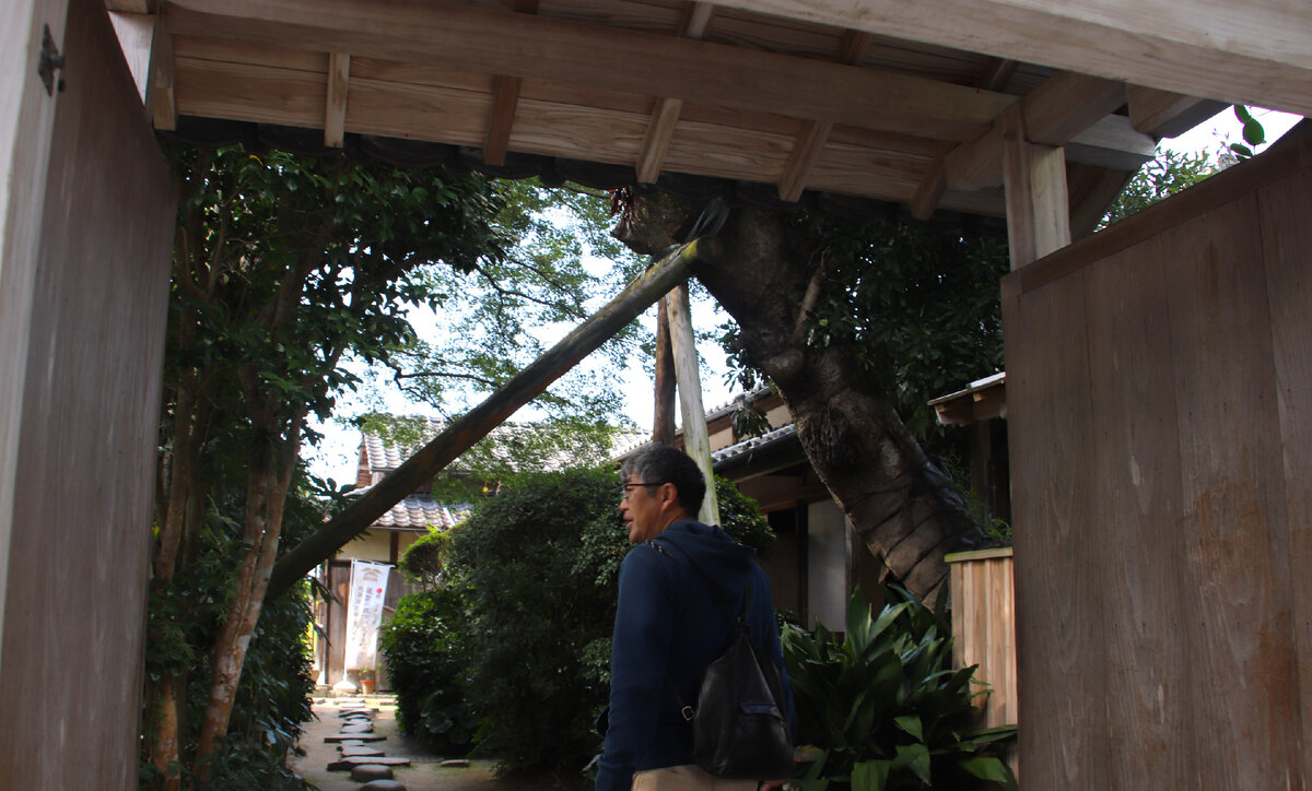 гарри поттер и тайная комната кадры из фильма. гарри поттер и тайная комната надпись на стене. гарри поттер и тайная комната хогвартс. тайная комната салазара слизерина гарри. гарри поттер и тайная комната rflhs bp abkmvf.