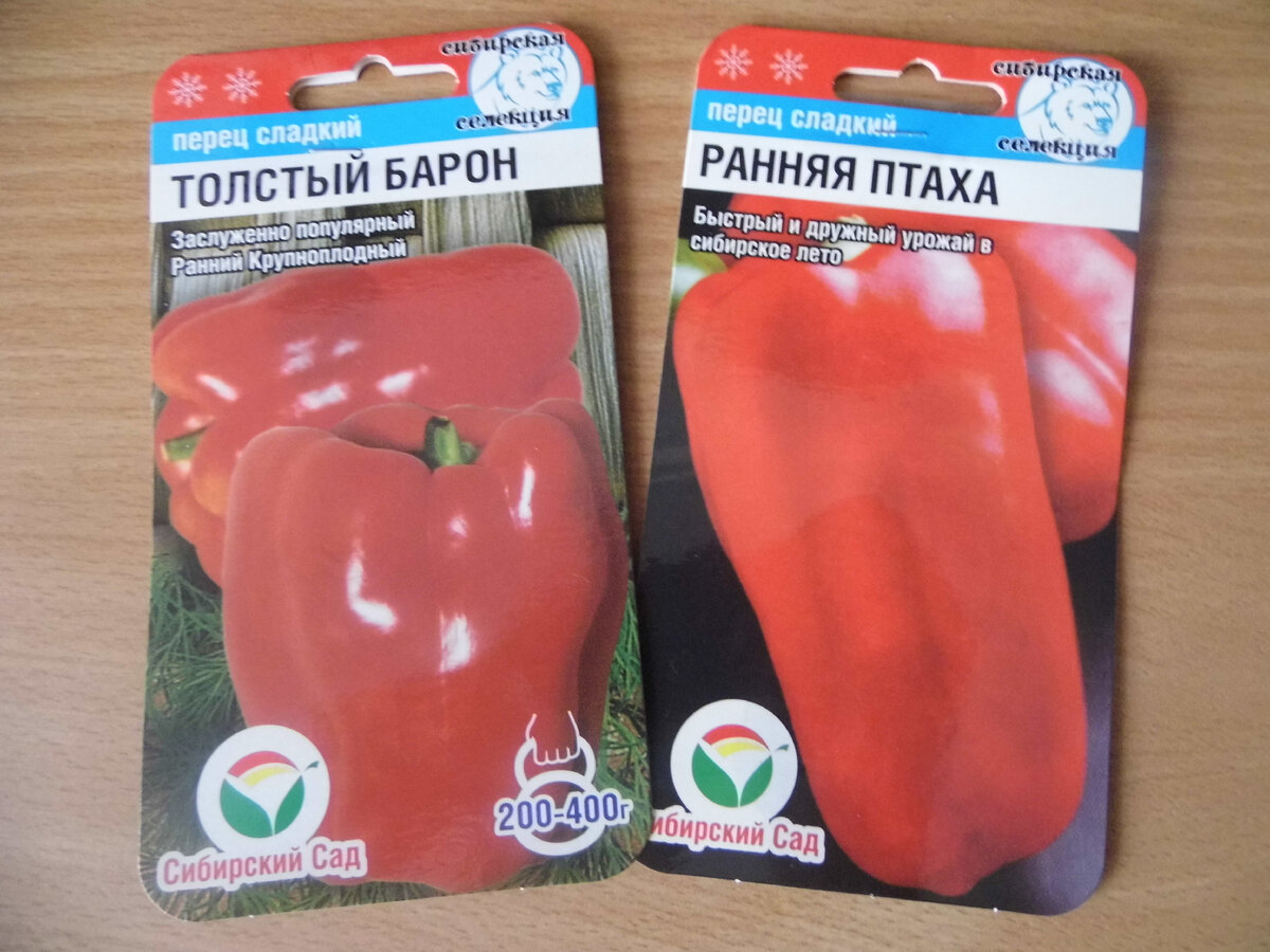 Перец болгарский темнеет на кусту. Добавь немного перца. Добавь немного перца. Добавь немного перца. Добавь немного перца.