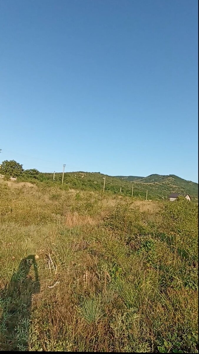 Наш участок и моя тень)))