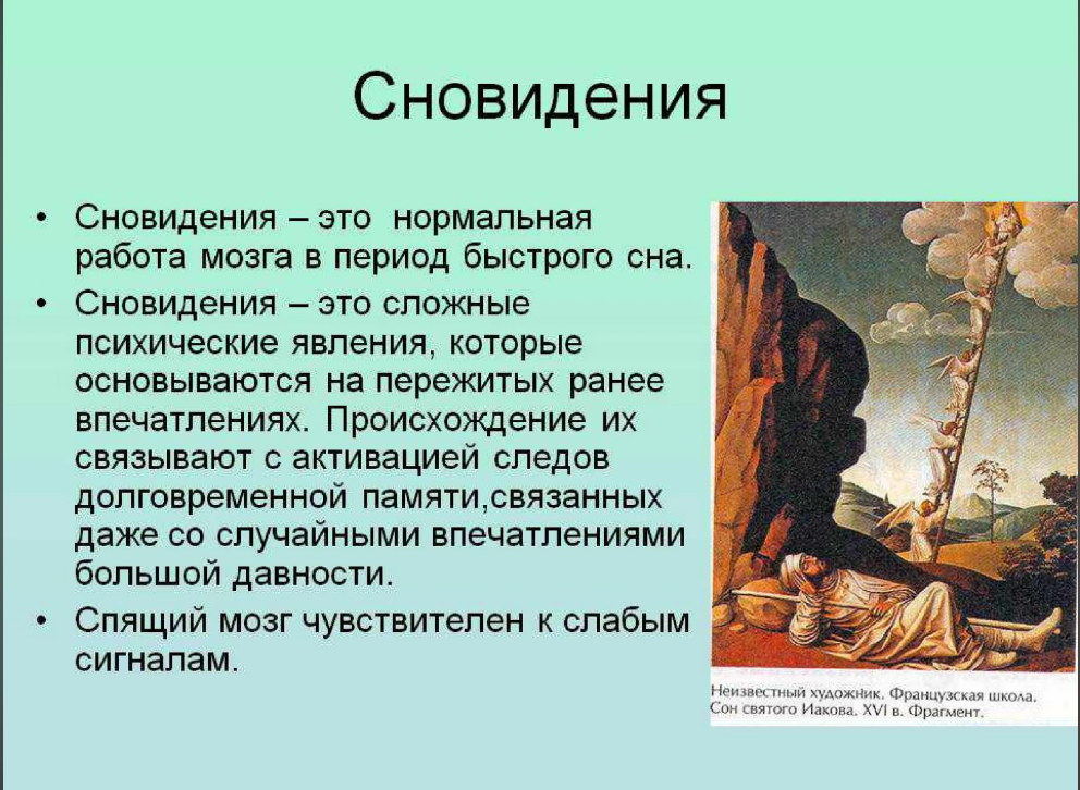 Научное понимание: стадии сна и их значение Цвета мгновений 27sokol.ru