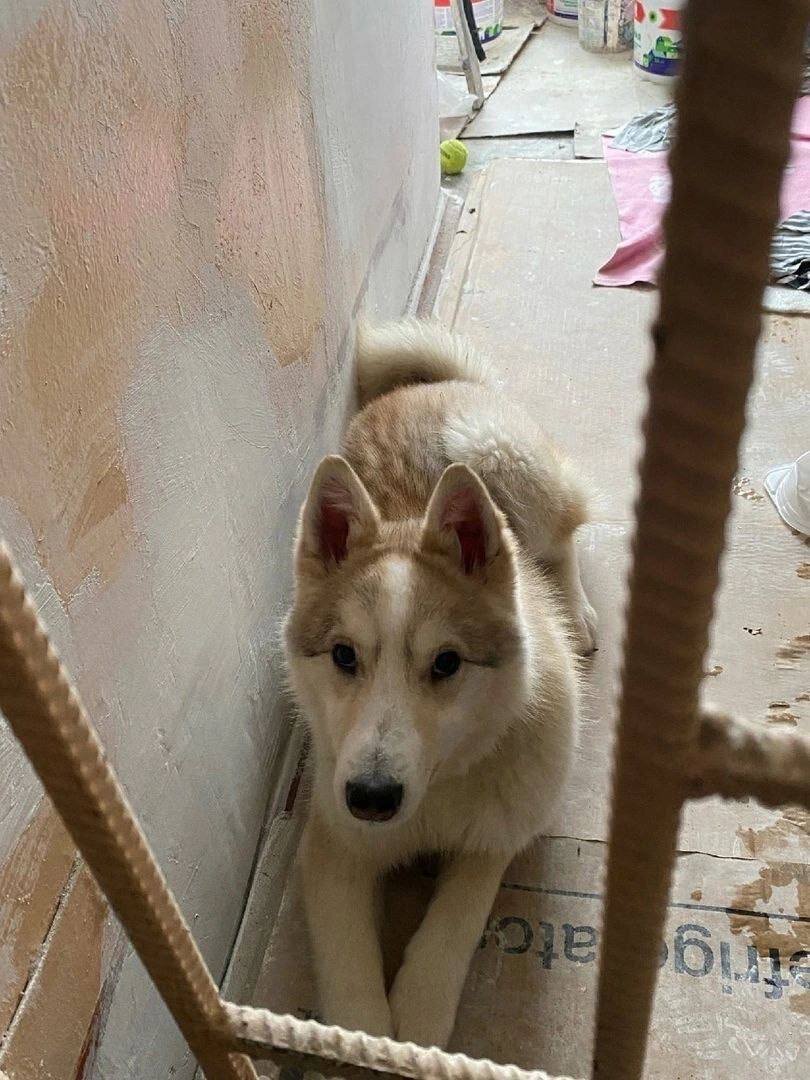 Страх что подумают люди цитаты. Высказывания о мнении других людей. Объятия. Захочет позвонит подумали оба и потеряли. Давай о другом подумаем.