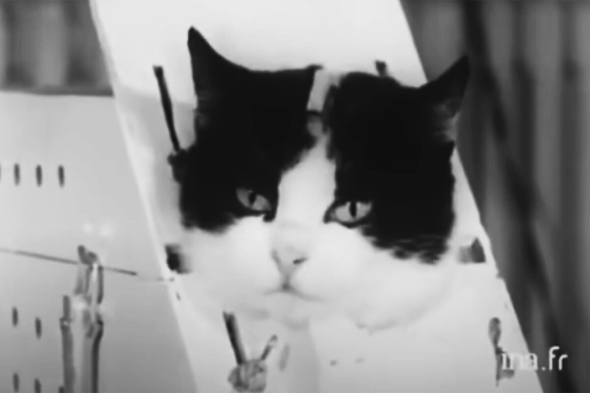 Не оставляйте детей без присмотра. Памятка для родителей безопасность детей. Правила оставления детей дома. Во сколько лет можно оставлять ребенка одного дома. Оставить 01.