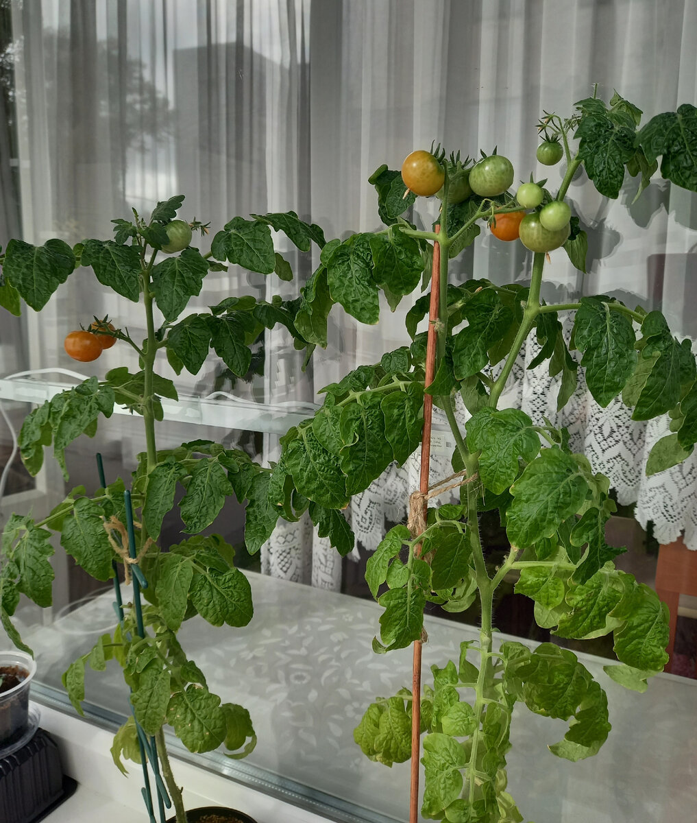 Читать малыгин времена не выбирают. Автор: владимир владиславович малыгин приказано выжить!. "летчик". Владимир владиславович м. Малыгин владимир владиславович летчик.