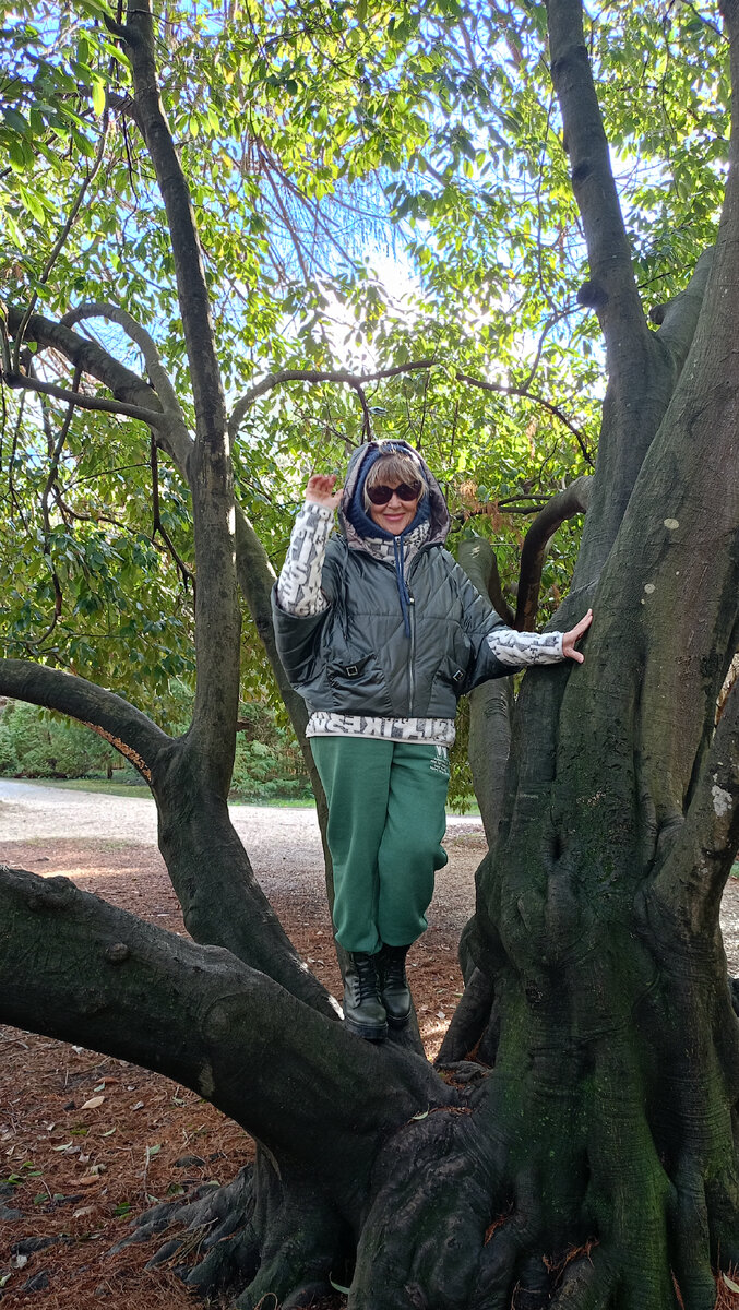 потоп в адлере 2015. сочи что там сейчас. сочи что там сейчас. потоп сочи 2022 год. в сочи ливень подтопил улицы.