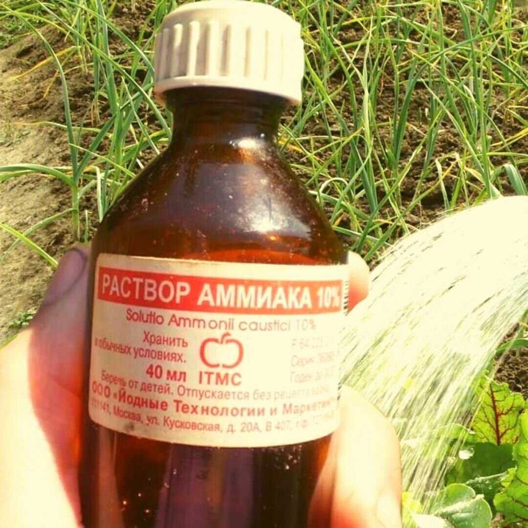 Аммиак 25 мл. Аммиак 1л. Аммиак 1 литр. Аммиак 1 литр. Аммиак 1 литр.